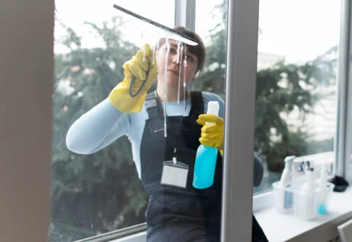Nettoyage de vitres intérieures et extérieures à Boëge